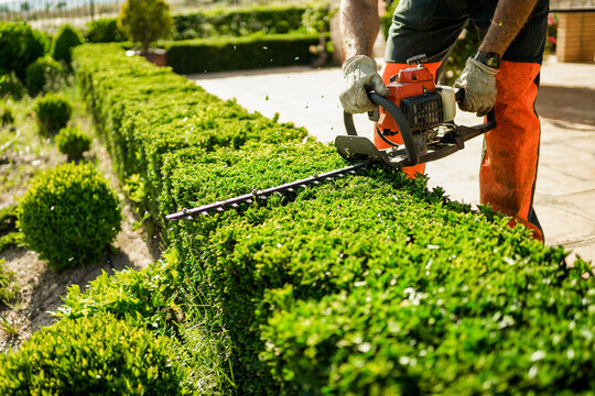 Hedge and shrub trimming