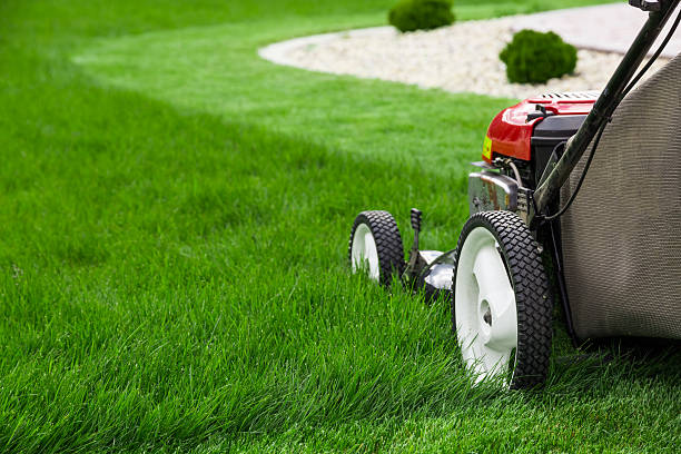 Lawn care and turf maintenance services